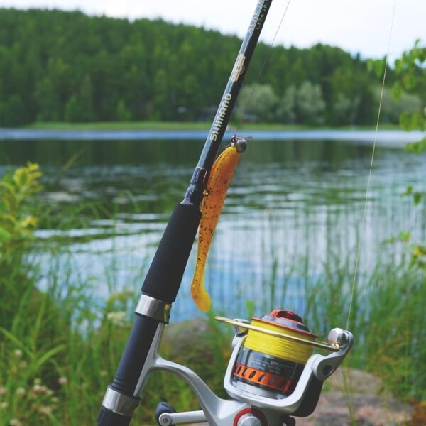Essential Fishing Gear Basics: Rods, Reels, and Tackle Made Simple